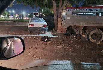 Se negó a entregar a perros que arrastró en su auto