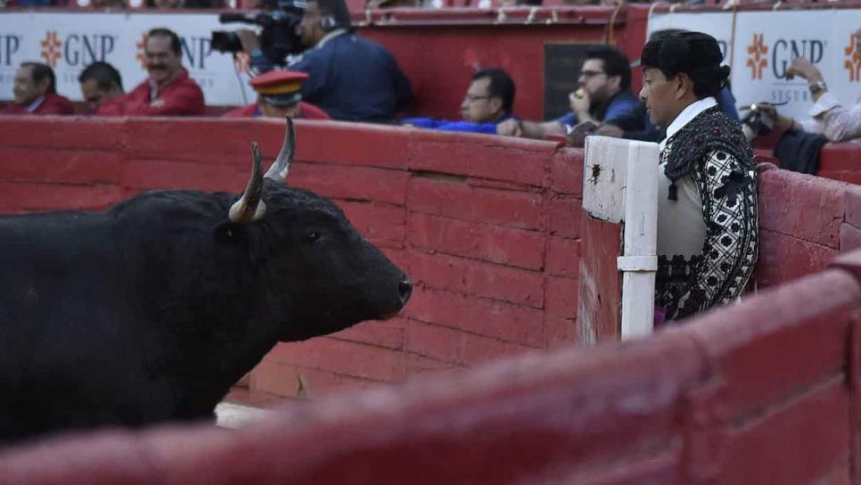 Rechazan comisiones veto de exgobernador a prohibir tauromaquia en Sinaloa