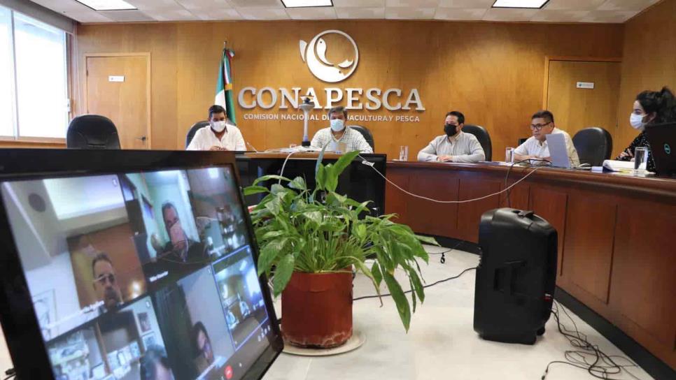 Busca Conapesca revertir restricción a barcos nacionales