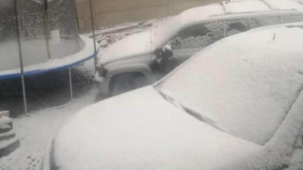 Cae nieve en Sierra de Chihuahua Cae nieve en Sierra de Chihuahua
