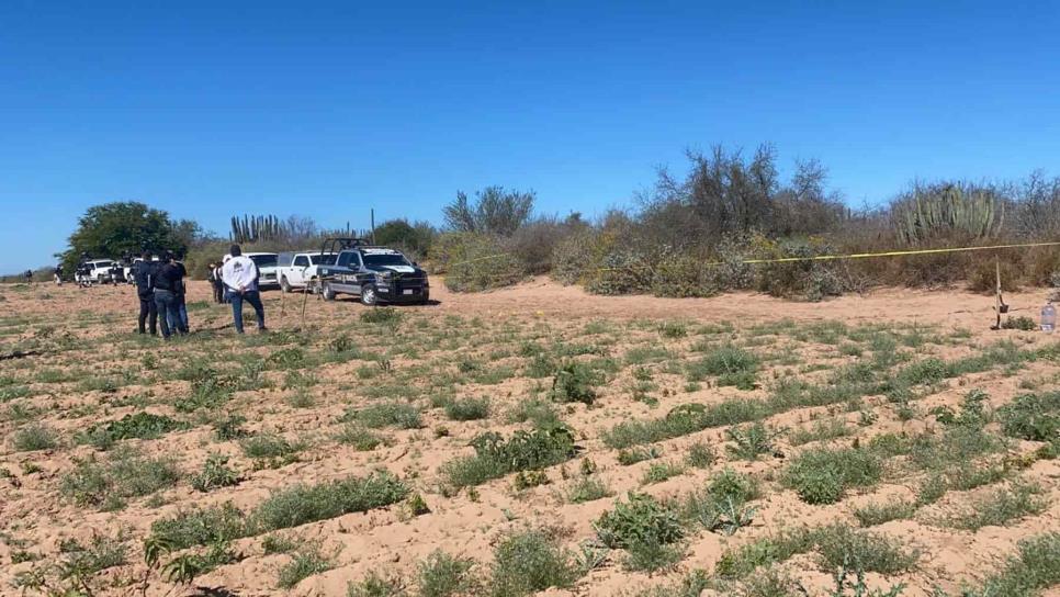 Localizan dos cuerpos cerca de San Alberto, Ahome