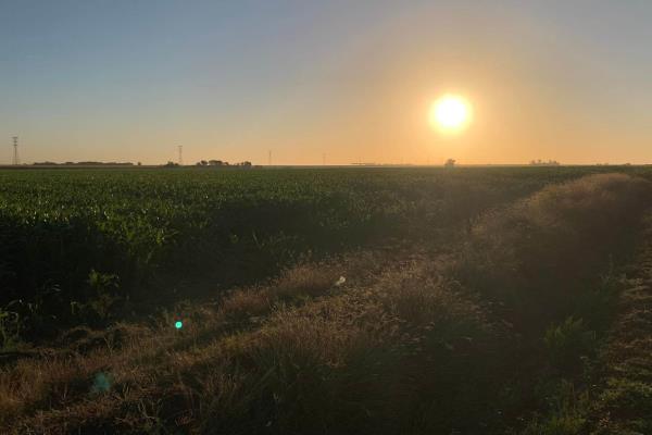 Por riesgo de heladas Rocha Moya buscará seguros para productores