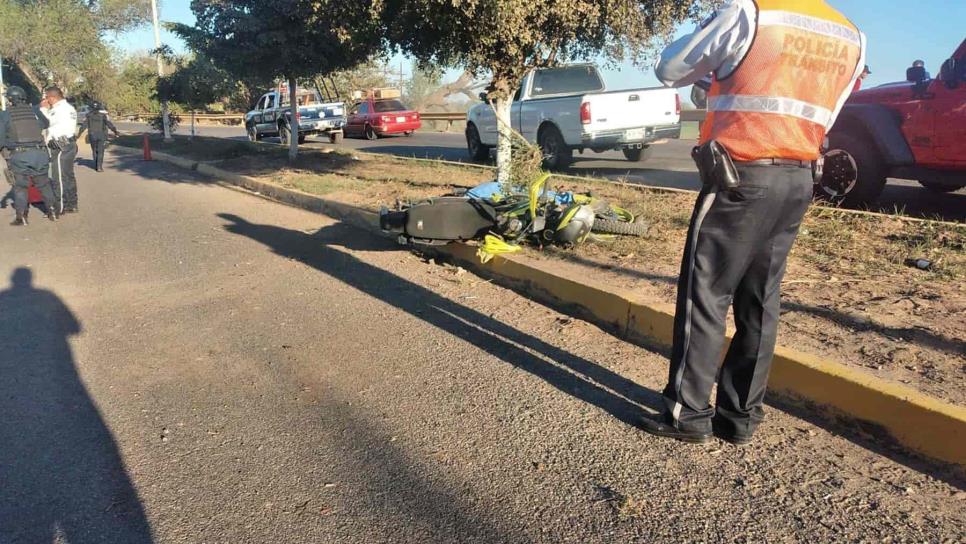 Motociclista muere tras impactar contra un árbol en la carretera Culiacán-Navolato