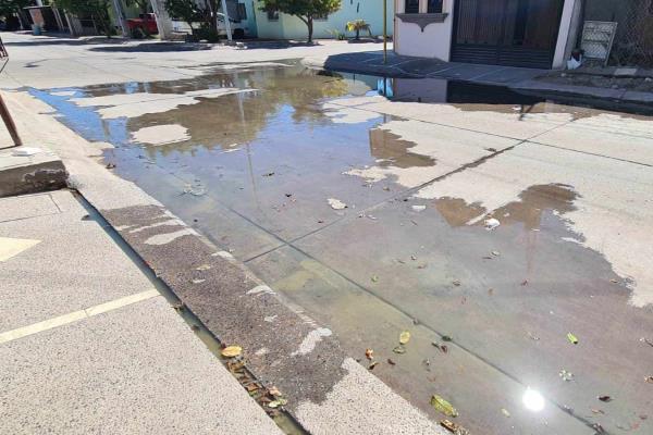 Tienen olor a drenaje dentro de sus casas en Cedros, en Los Mochis