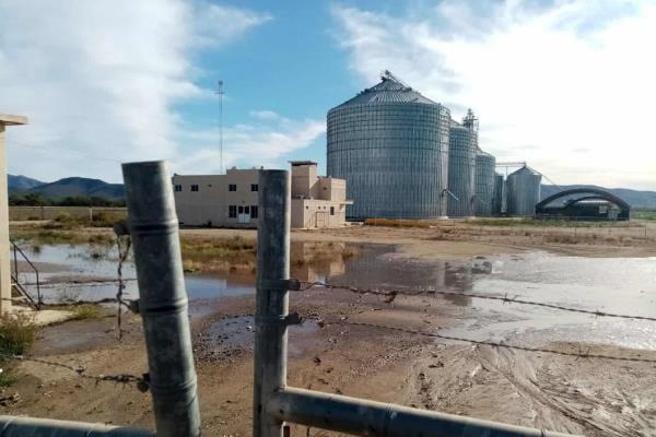 Intervendrá alcalde de Ahome en conflicto de Multigranos