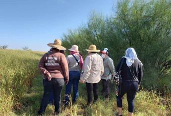 Rastreadoras de El Fuerte buscan adquirir dron para localizar fosas clandestinas