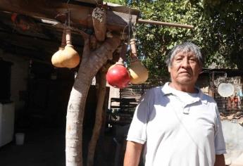 Yoremes de San Miguel Zapotitlán se prepara para Semana Santa