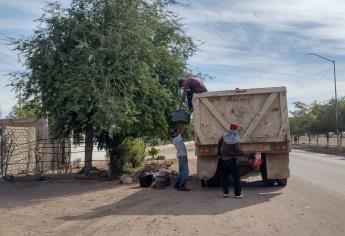 Baja considerable la incidencia de dengue en Ahome: van dos casos en el 2022