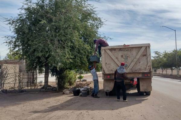 Baja considerable la incidencia de dengue en Ahome: van dos casos en el 2022