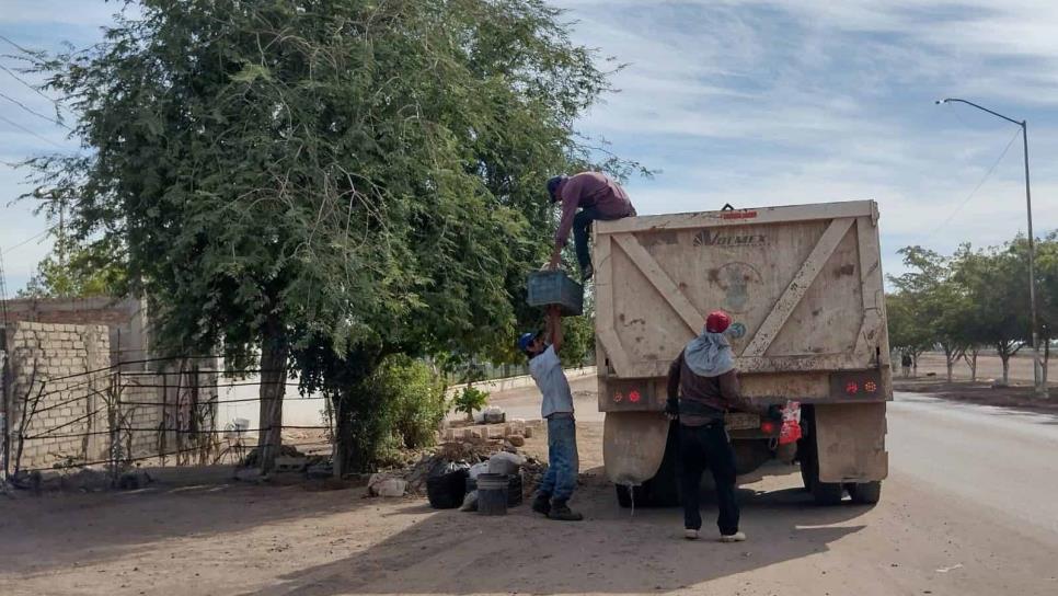 Baja considerable la incidencia de dengue en Ahome: van dos casos en el 2022