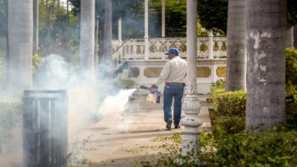 Buscan eliminar plaga de jejenes en El Fuerte