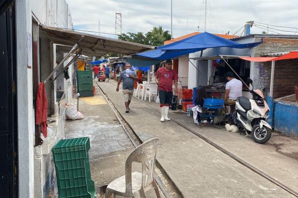 Supervisa Secretaría de Salud manejo de alimentos del mar, en Mazatlán