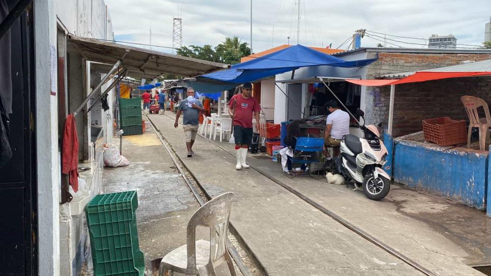 Supervisa Secretaría de Salud manejo de alimentos del mar, en Mazatlán