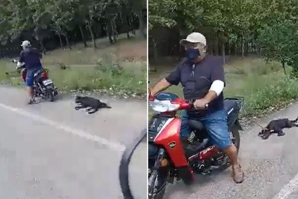 ¡Llevaba a un perrito arrastrando en su motocicleta!