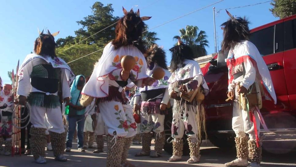 Inicia la gran fiesta yoreme, el primer «Conti» en San Miguel Zapotitlán