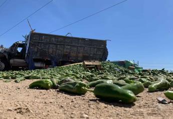 Vuelca torton con 8 toneladas de chiles en la entrada de la carretera La 19