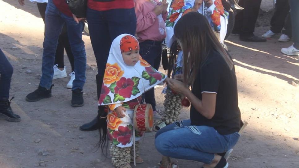 Niños y el conti, la tradición yoreme no muere