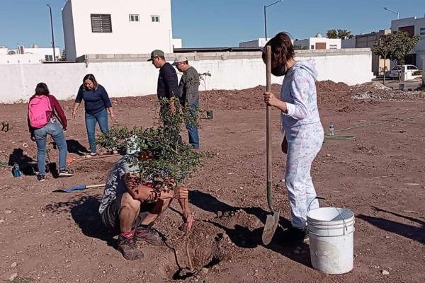 ¡Hartos de los robos! Vecinos de Residencial Paseo de la Reina se organizan contra ladrones