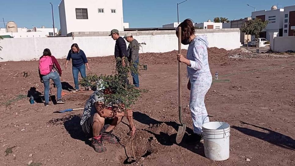 ¡Hartos de los robos! Vecinos de Residencial Paseo de la Reina se organizan contra ladrones