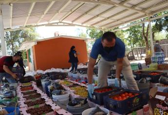 Escuelas de Tiempo Completo podrían ser beneficiarias del Banco de Alimentos