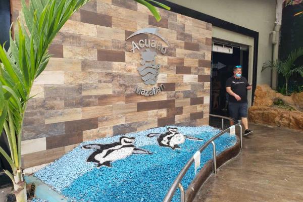 Pese a próximo cierre de Acuario Mazatlán, Pingüinario seguirá abierto al público