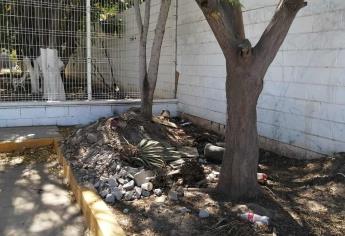 Denuncian abandono en limpieza al exterior del Parque Oruga Centenario