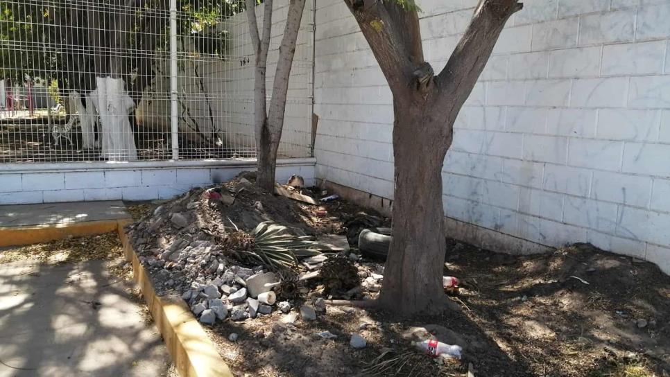 Denuncian abandono en limpieza al exterior del Parque Oruga Centenario