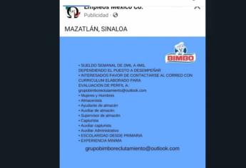 Ofrecen empleo en Bimbo y te estafan: conoce cómo funcionan