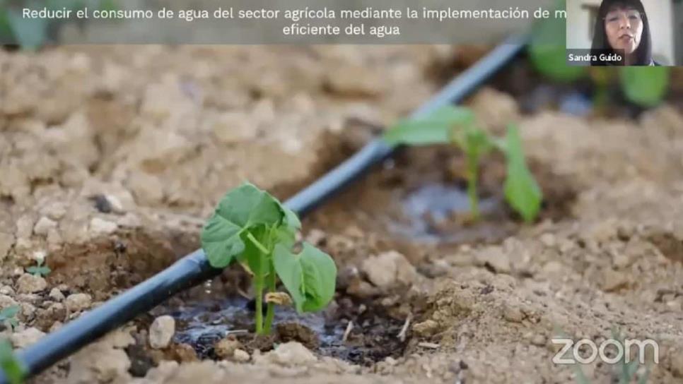 Jumapam y Conselva van por la preservación de los mantos acuíferos y cuidado del agua