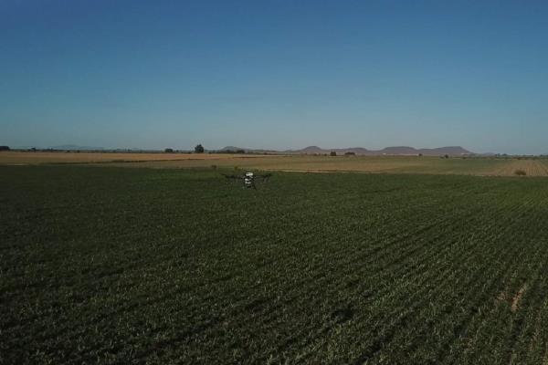 Drones, tecnología militar aplicada a la agricultura