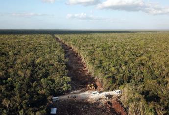 Activistas de Greenpeace se encadenan a maquinaria del Tren Maya