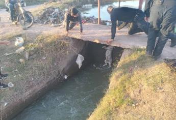 Policías rescatan a Güero, un perrito que cayó a un canal en el ejido Flores Magón