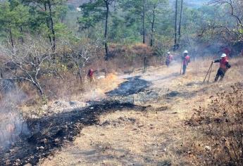 Sinaloa registra 7 incendios forestales provocados por la sequía