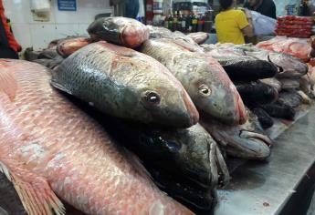 ¡Abusado! No compres pescado con ojos  opacos o escamas flojas