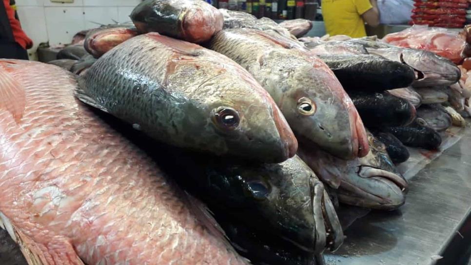 ¡Abusado! No compres pescado con ojos  opacos o escamas flojas