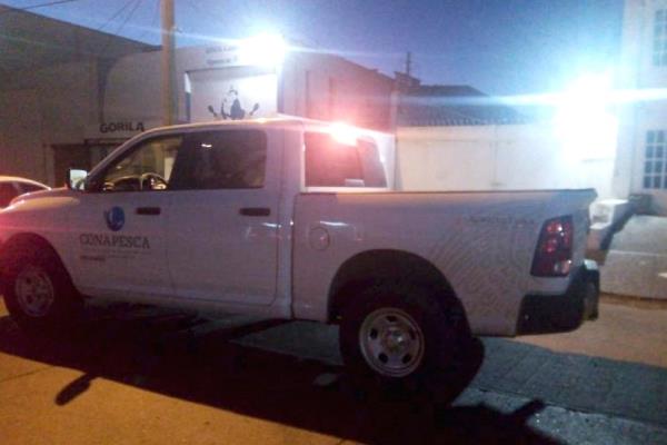Detienen a tres por intento de robo de cargamento de pescado valuado en 2 mdp