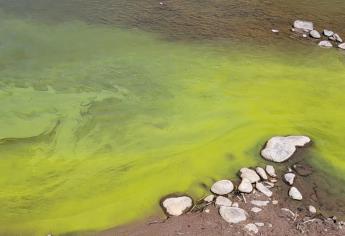 Reportan contaminación del río Huerachi, en Chihuahua