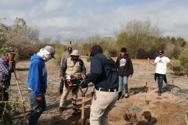 Localizan en Juan José Ríos 11 fosas con restos humanos
