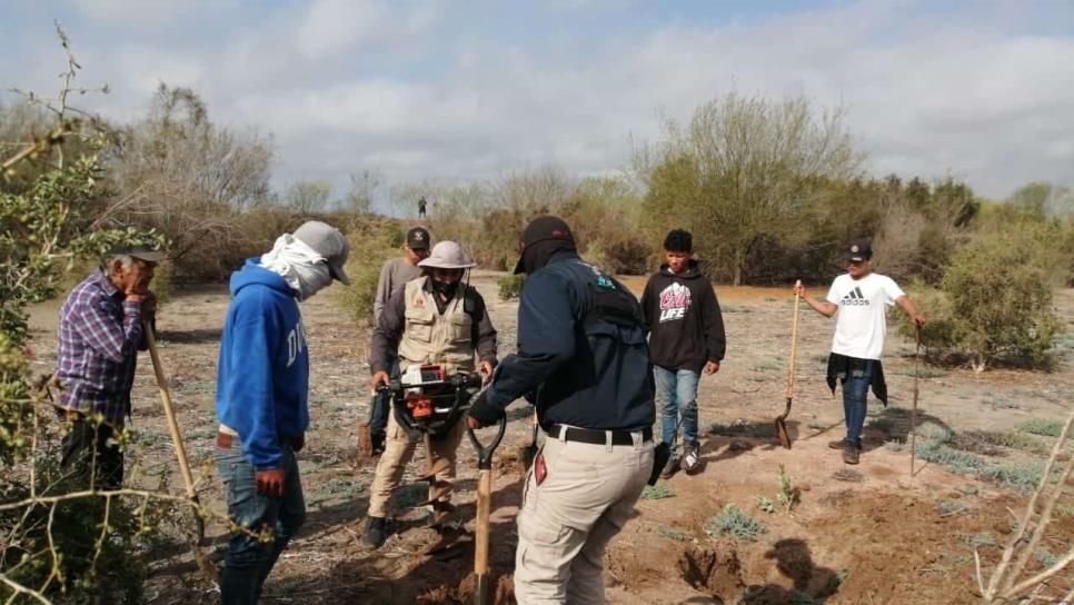 Localizan en Juan José Ríos 11 fosas con restos humanos