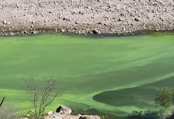 Crece alarma por contaminación del agua en Chihuahua y Sinaloa