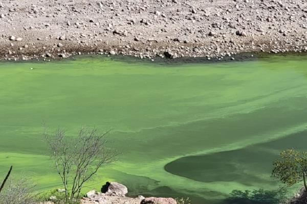 Crece alarma por contaminación del agua en Chihuahua y Sinaloa