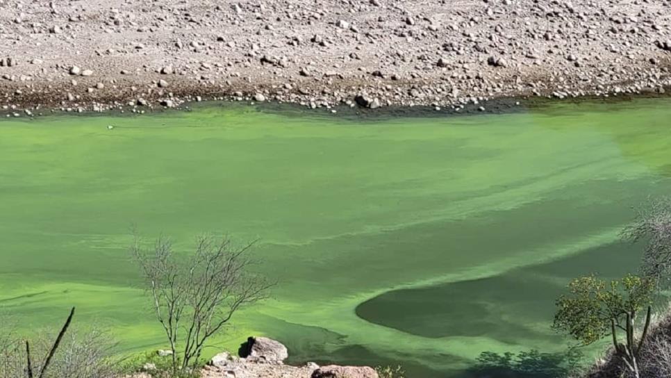 Crece alarma por contaminación del agua en Chihuahua y Sinaloa