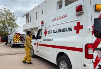 Muere tras ser atacado por enjambre, en Guamúchil