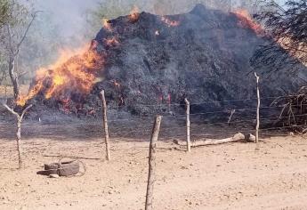 Incendio consume pacas y automóviles en Ahome