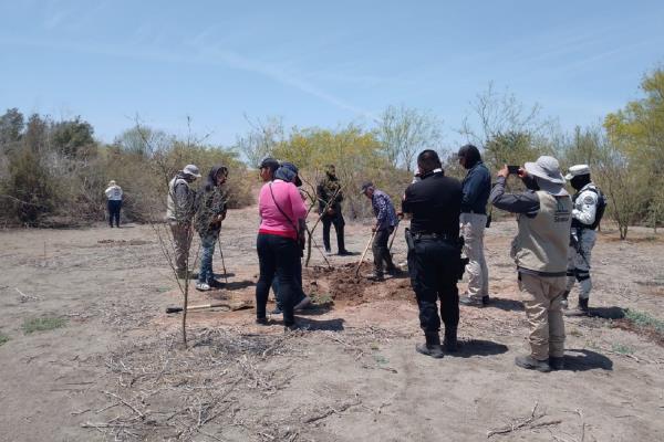 Termina búsqueda en Juan José Ríos; localizan 13 fosas con restos humanos