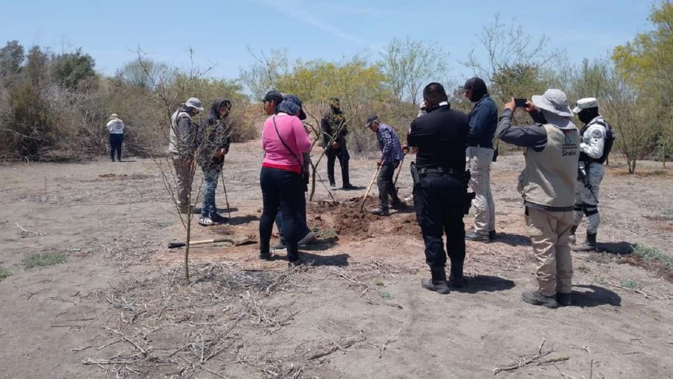 Termina búsqueda en Juan José Ríos; localizan 13 fosas con restos humanos