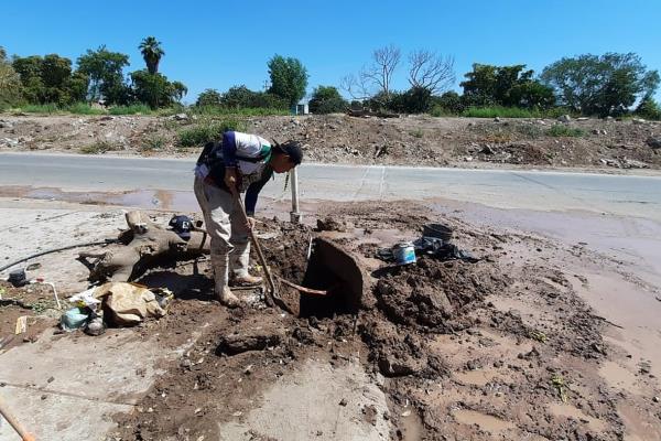 Cancela Japama toma clandestina en el fraccionamiento Los Naranjos