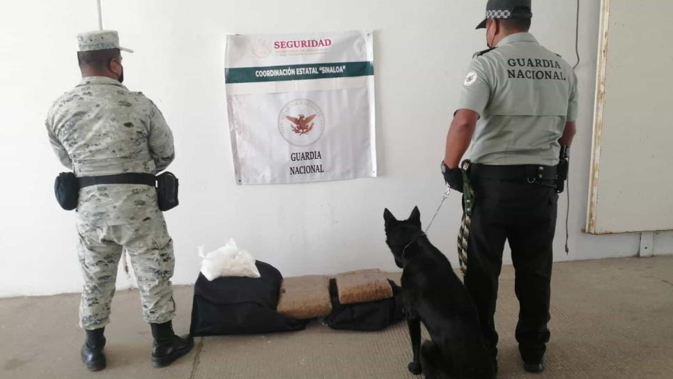 Localizan maletas con droga en Central Camionera de Mazatlán