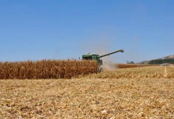 Rusia incrementa acciones bélicas contra Ucrania limitando exportación de granos