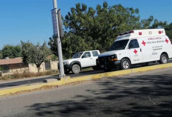 Atropellan a una joven en el 5 de Mayo, intentaba cruzar la carretera